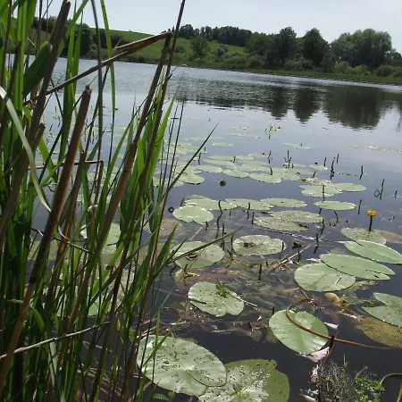 Ferienhaus Ferienhaus Auf Großem Wassergrundstück Mit Kamin