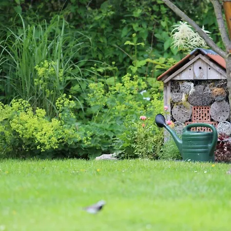 Ferienhaus Ferienhaus Auf Großem Wassergrundstück Mit Kamin *