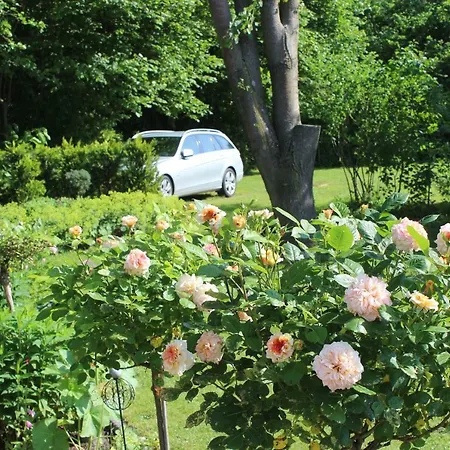 Ferienhaus Ferienhaus Auf Großem Wassergrundstück Mit Kamin *