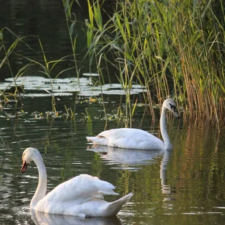Ferienhaus Ferienhaus Auf Großem Wassergrundstück Mit Kamin *