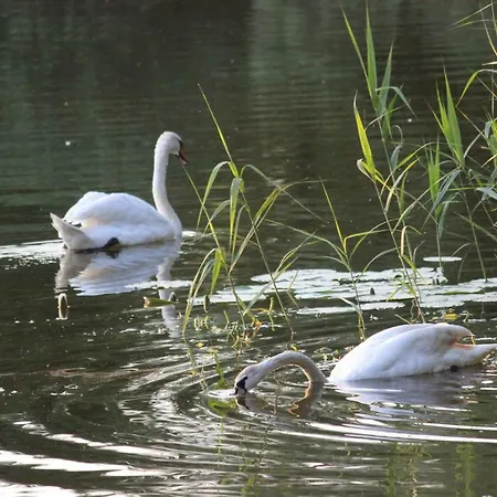 Holiday home Ferienhaus Auf Grossem Wassergrundstuck Mit Kamin *