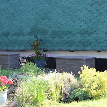 Ferienhaus Auf Großem Wassergrundstück Mit Kamin Ferienhaus